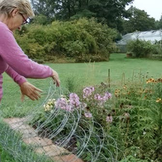 perennapenkki verkkoaita perennapenkki verkkoaita